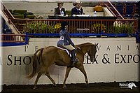 4H-State-12-0734.jpg