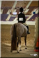 4H-State-12-0947.jpg