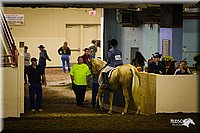 4H-State-12-0266.jpg