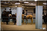 4H-State-12-0268.jpg