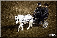 4H-State-12-0174.jpg