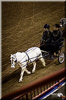 4H-State-12-0179.jpg