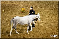 4H-State-12-0101.jpg