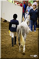 4H-State-12-0104.jpg