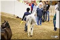 4H-State-12-0105.jpg