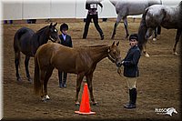 4H-State-12-0128.jpg