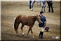 4H-State-12-0129.jpg