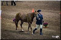 4H-State-12-0130.jpg