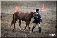 4H-State-12-0131.jpg