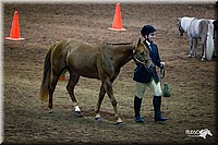 4H-State-12-0132.jpg