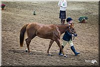 4H-State-12-0138.jpg