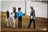 4H-State-12-0213.jpg