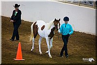 4H-State-12-0215.jpg