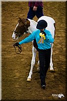 4H-State-12-0228.jpg