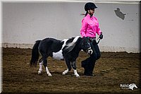 4H-State-12-0109.jpg