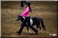 4H-State-12-0114.jpg