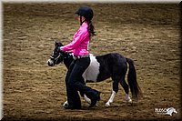 4H-State-12-0115.jpg