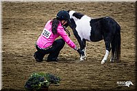 4H-State-12-0119.jpg