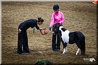 4H-State-12-0122.jpg