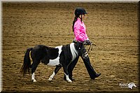 4H-State-12-0124.jpg