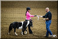 4H-State-12-0125.jpg