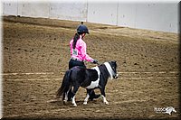 4H-State-12-0126.jpg