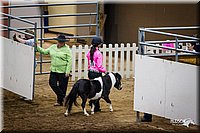 4H-State-12-0127.jpg