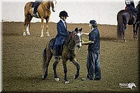 4H-State-12-0515.jpg