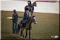 4H-State-12-0517.jpg