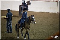 4H-State-12-0518.jpg