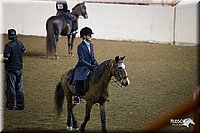 4H-State-12-0519.jpg