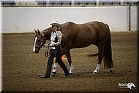 4H-State-12-0999.jpg