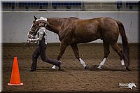 4H-State-12-1005.jpg