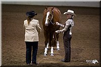 4H-State-12-1011.jpg