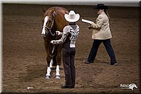 4H-State-12-1012.jpg