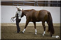 4H-State-12-1016.jpg