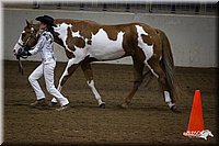 4H-State-12-1018.jpg