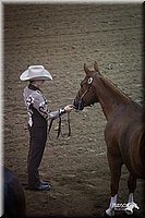 4H-State-12-1021.jpg