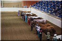 4H-State-12-1023.jpg