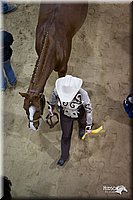 4H-State-12-1033.jpg