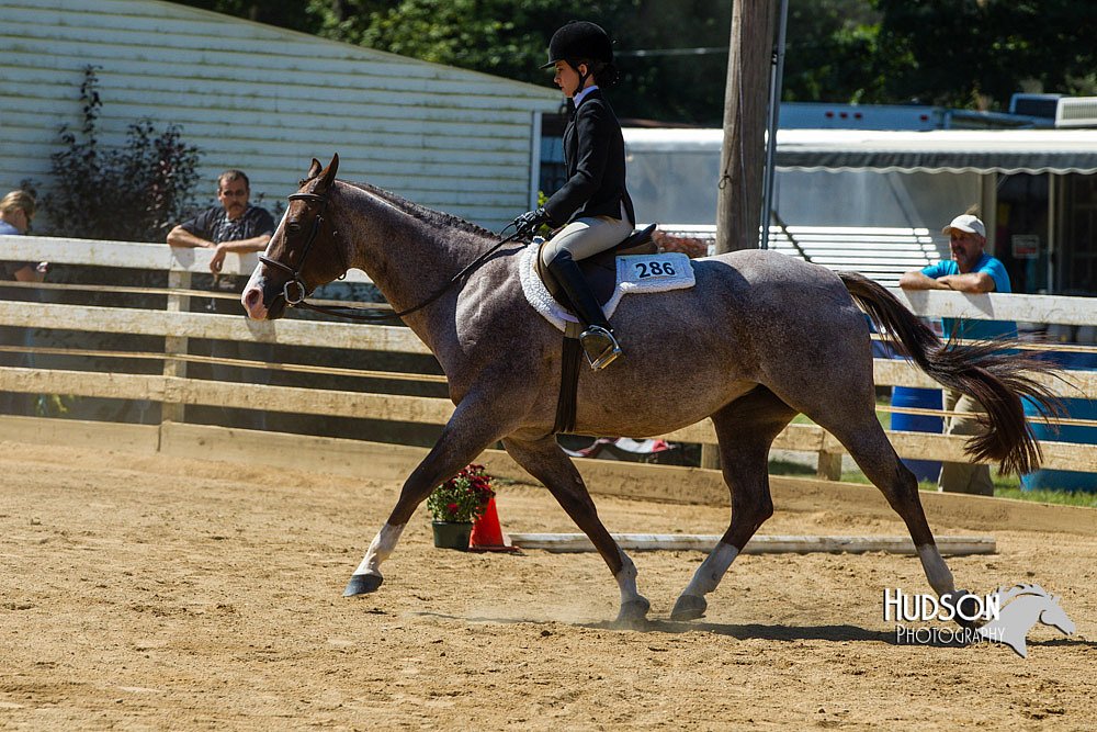 4H-Distr-090713-0815.jpg