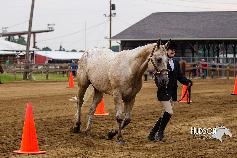 4H-2nd--072813-1090.jpg