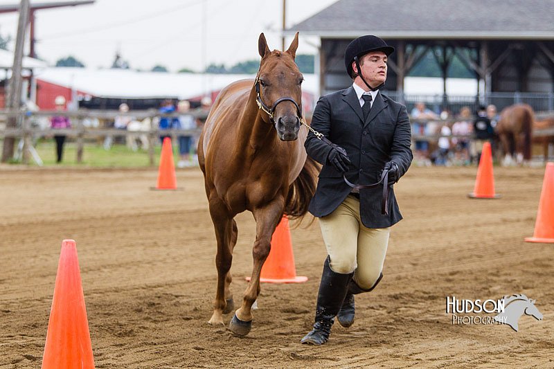4H-2nd--072813-1098.jpg