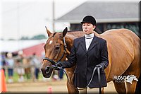 4H-2nd--072813-1113.jpg