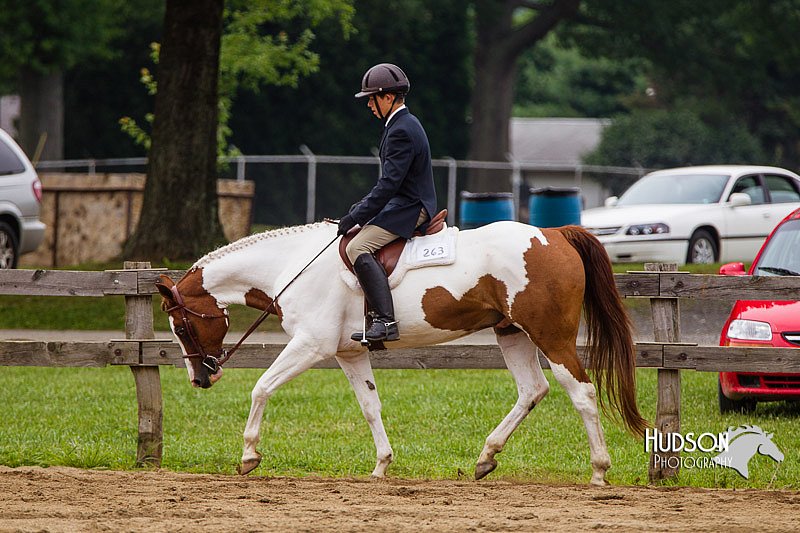 4H-2nd--072813-2424.jpg
