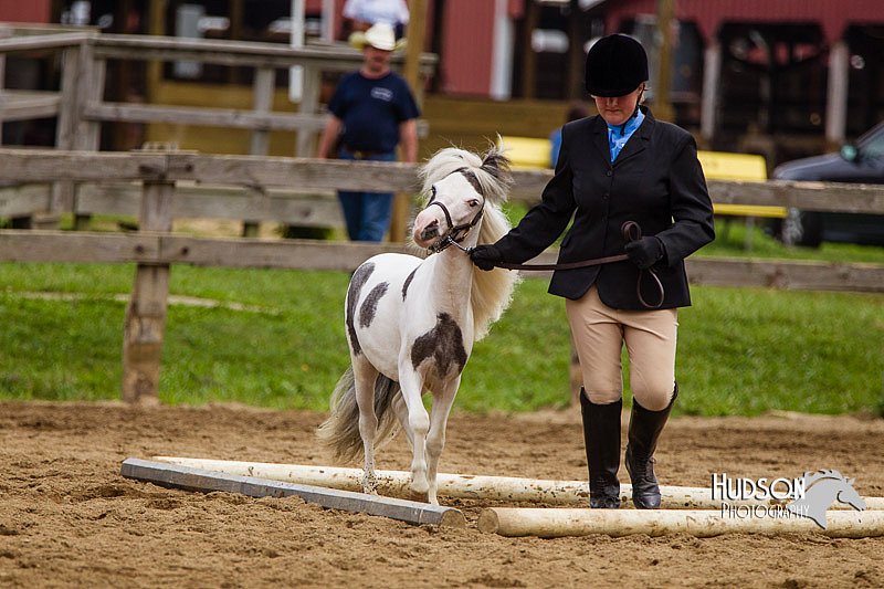 4H-2nd--072813-1860.jpg