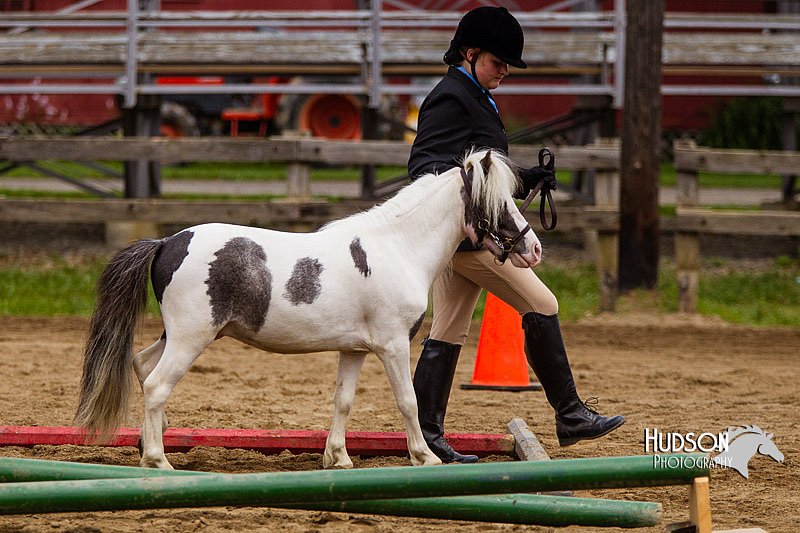 4H-2nd--072813-1865.jpg