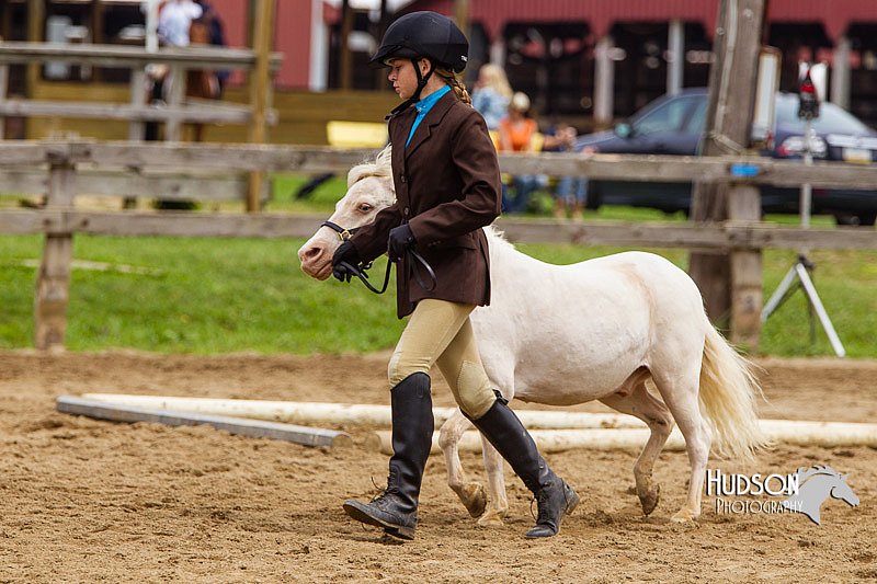 4H-2nd--072813-1875.jpg