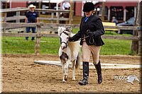 4H-2nd--072813-1863.jpg