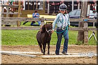 4H-2nd--072813-1910.jpg